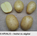 KERDENNE